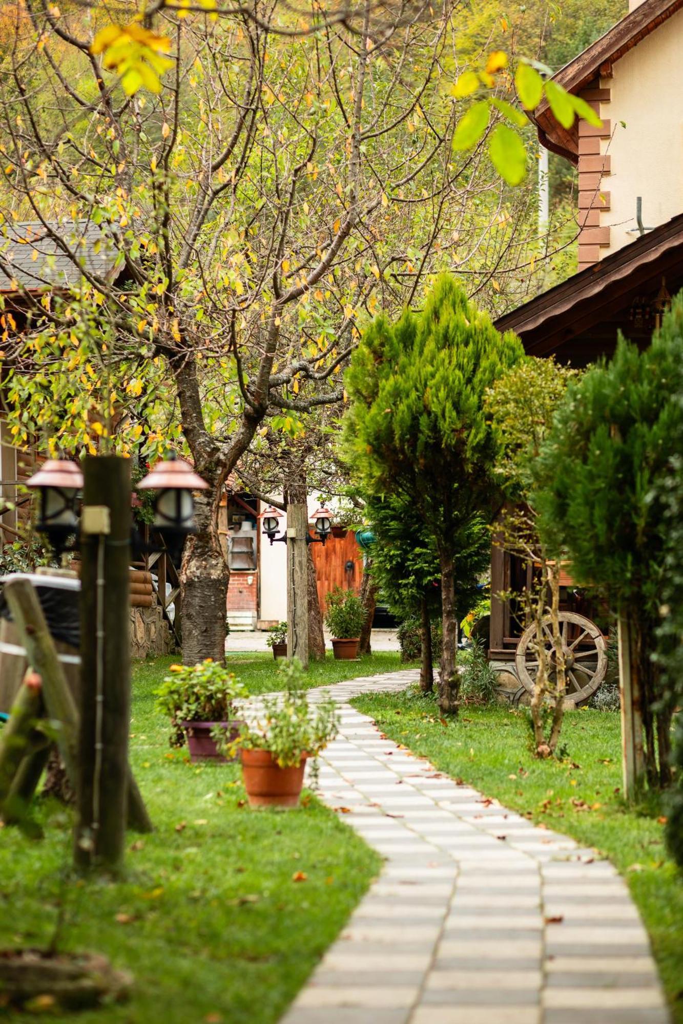 Bed and Breakfast Abant Doga Koeskue Bolu Exterior foto